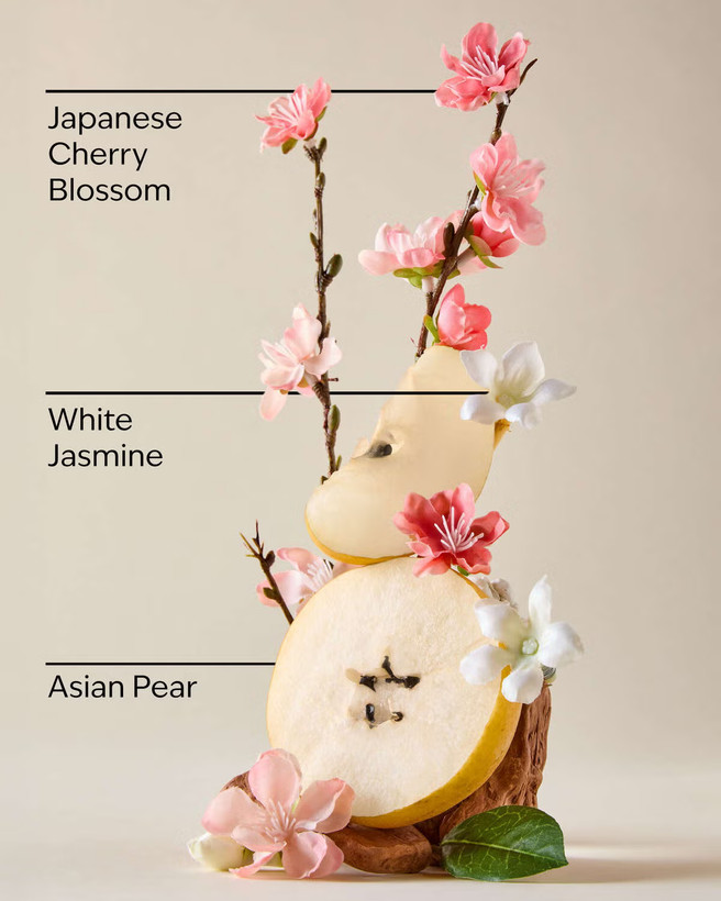 کره بدن معطر بث اند بادی وورکس رایحه Japanese Cherry Blossom