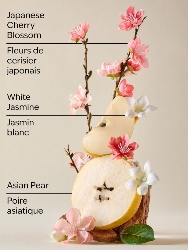 اسکراپ بدن لایه بردار بث اند بادی ورکس Japanese Cherry Blossom